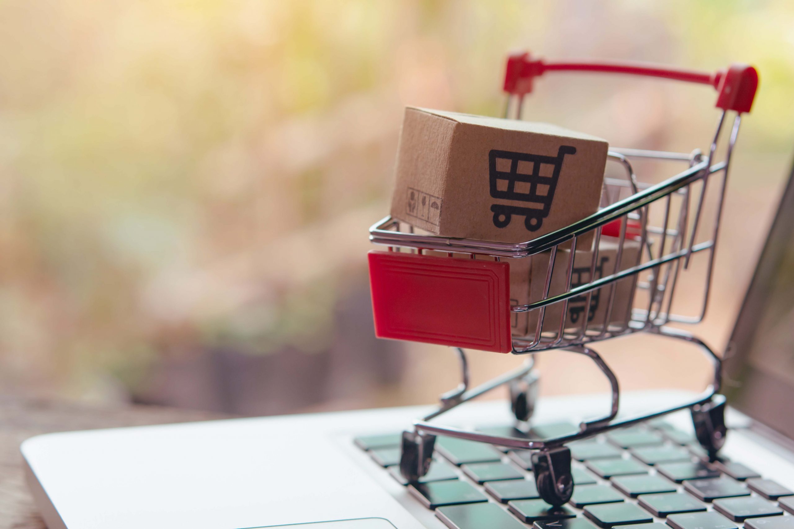 E- Commerce/Payment Gateway